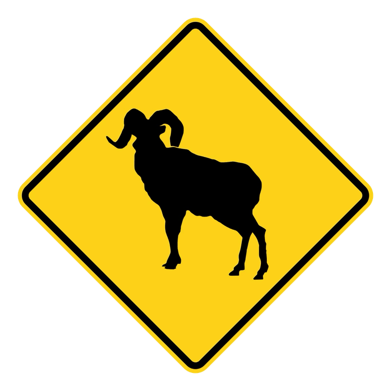 Bighorn Sheep Crossing Sign road sign — Bighorn sheep crossing warning